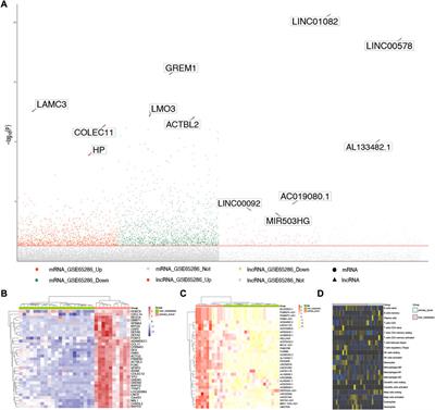 Potential effective diagnostic biomarker in patients with primary and metastatic small intestinal neuroendocrine tumors